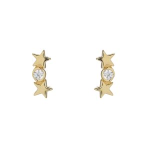 9ct Yellow Gold Earrings